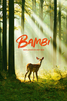 Bambi: Een Leven in het Bos