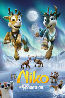 Niko voorbij het Noorderlicht