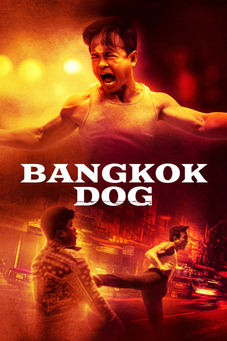 Bangkok Dog