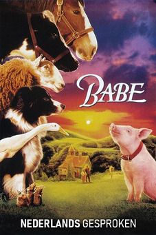 Babe (NL)