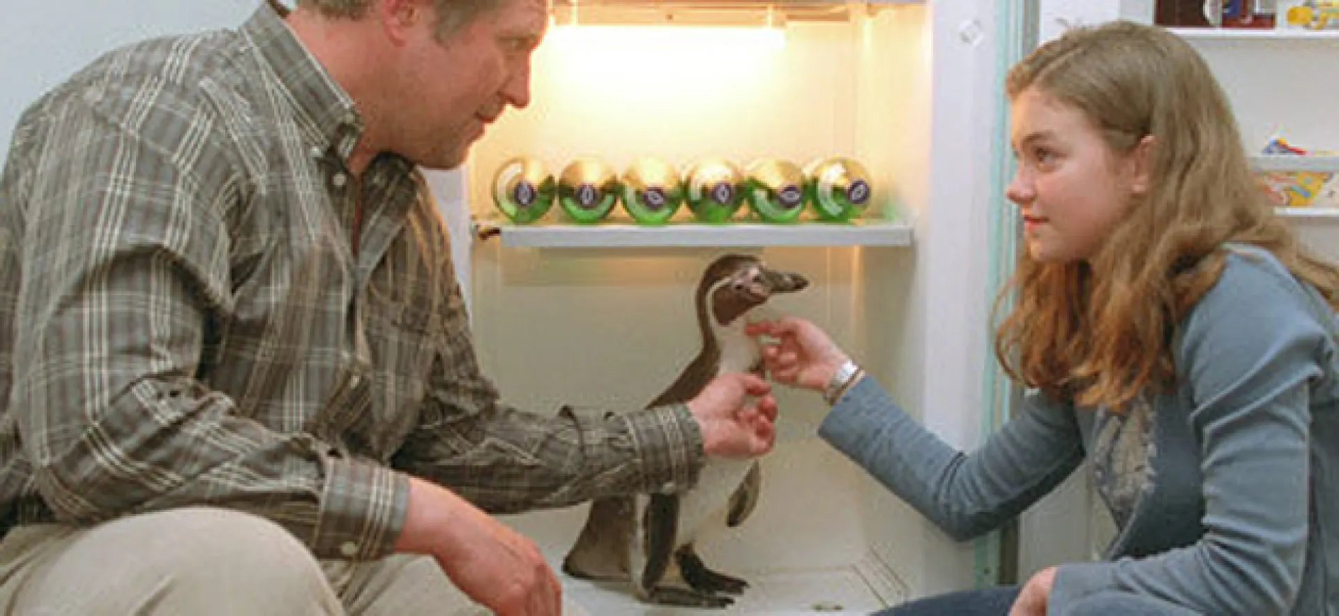 Amundsen de Pinguin