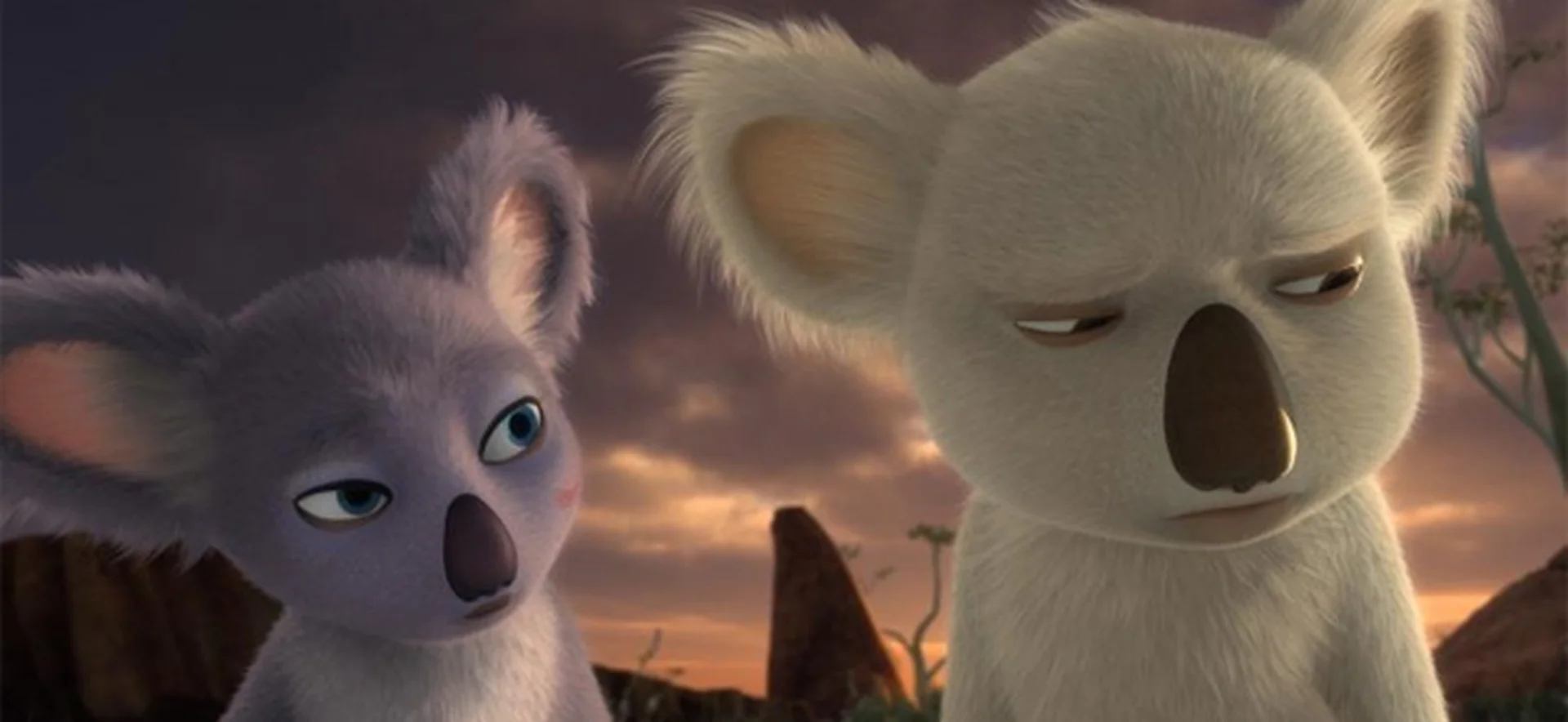 Koala Kid