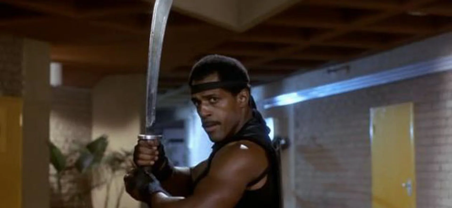 American Ninja 3