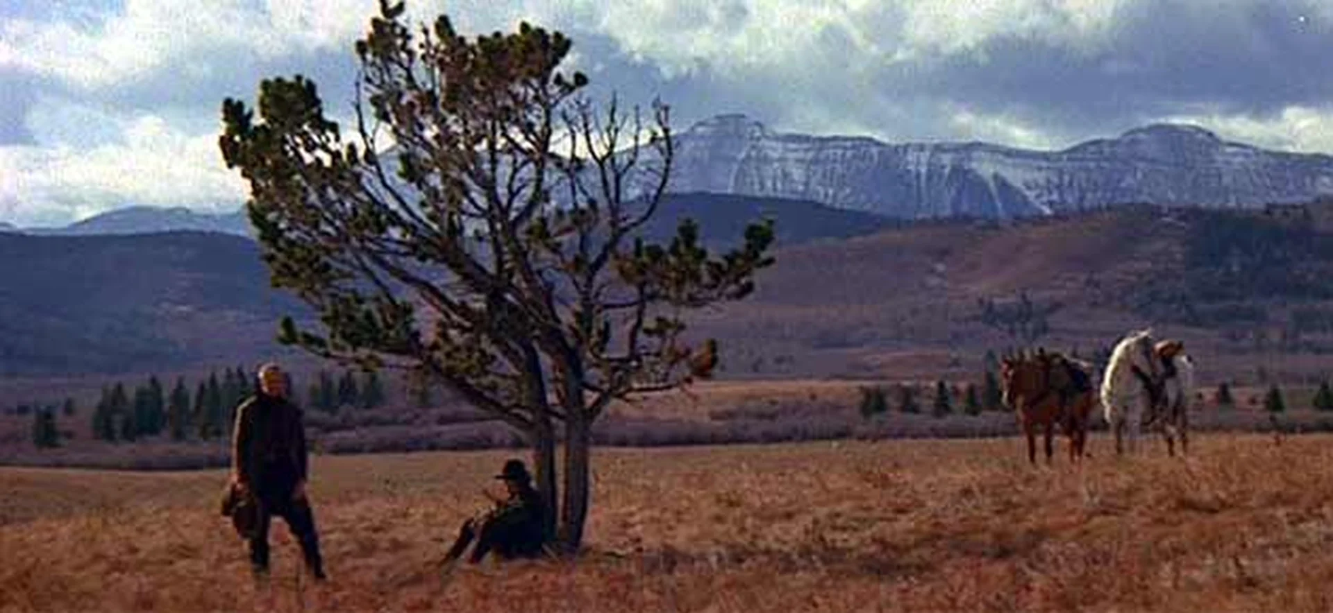 Unforgiven