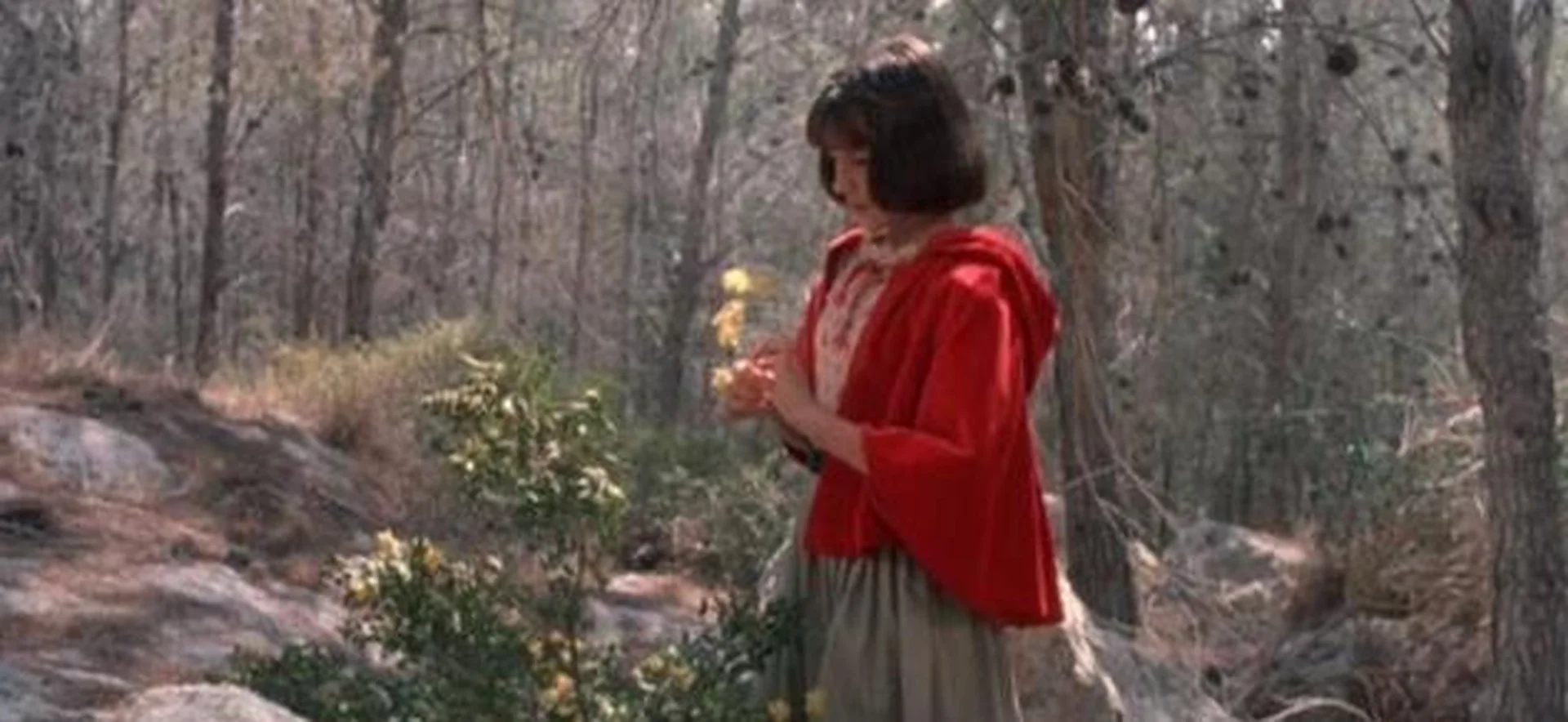 Red Riding Hood