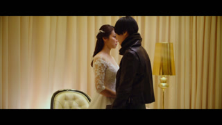 The Villainess