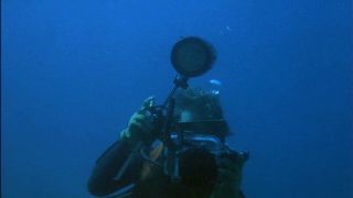 Jaws 2