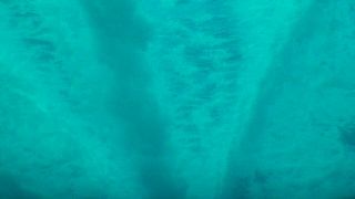 Jaws 3