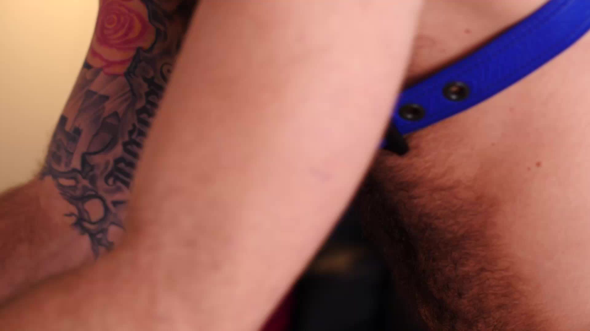 Busted Cocks